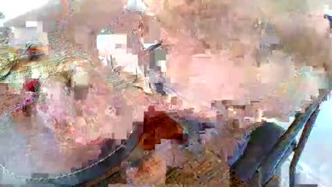 latinobra online show from December 1, 10:24 am