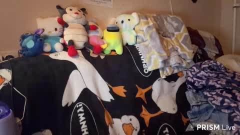 Angelina online show from November 18, 3:26 pm