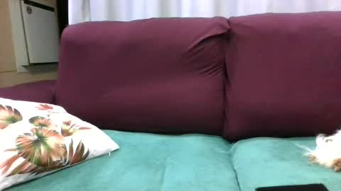 kelly online show from July 28, 8:52 pm