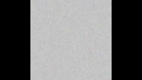 Vladi online show from November 8, 8:56 pm