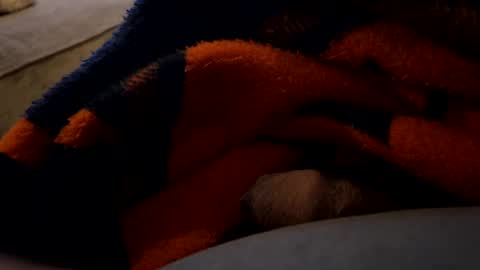 lc6173 online show from December 27, 1:43 am