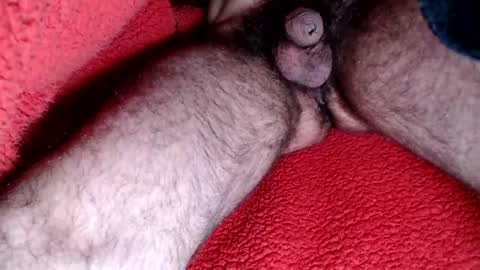 leccameloadesso2 online show from February 15, 9:15 pm