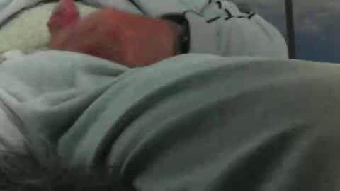 Snapshot of leckfreund53 chatting on October 3, 7:38 am leckfreund53 online show from October 3, 7:38 am
