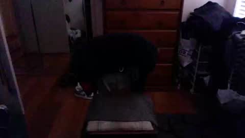 Snapshot of lennyfife chatting on February 23, 9:55 am Pussylicker online show from February 23, 9:55 am