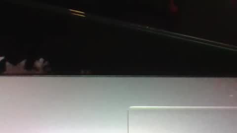 LEO online show from February 14, 7:22 am