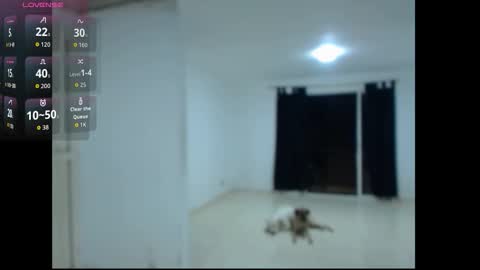 lesly online show from October 24, 1:17 am