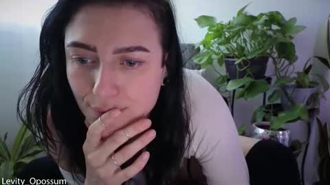 Levity online show from November 30, 7:32 pm