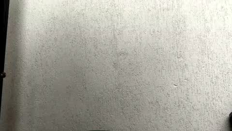 Liaa  online show from November 20, 7:00 pm