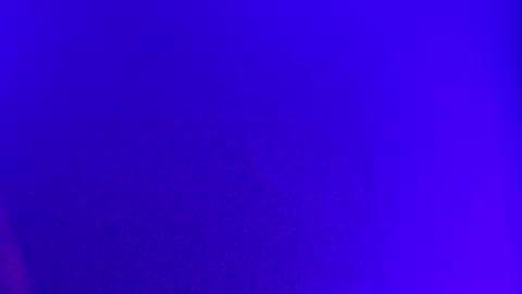 LickYourYoni online show from December 2, 2:14 pm