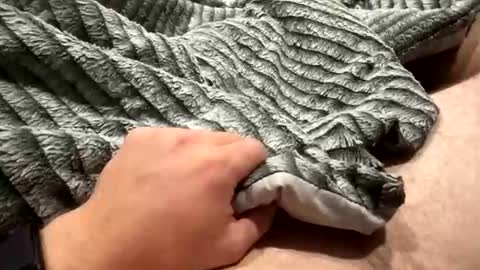 likeaboss820 online show from October 29, 2:02 am