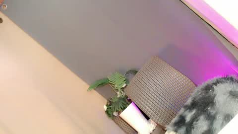 lil_trixxy online show from June 26, 7:36 am