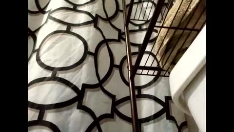 lilcalvo1 online show from March 18, 9:37 am