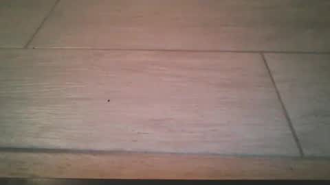 lildicksissy online show from November 22, 11:57 pm