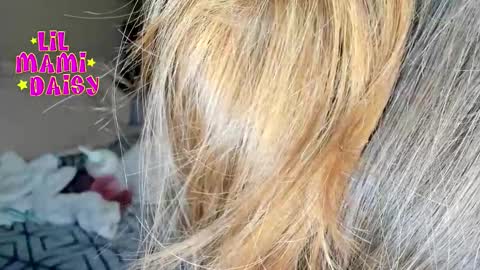 Daisy Bby online show from March 16, 2:59 am