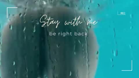 Lily online show from December 19, 7:04 am