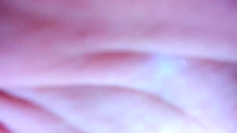    online show from February 19, 1:28 pm