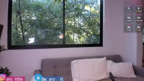 little ary online show from May 9, 10:27 pm