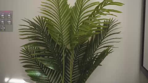 Help me reach 100 likes online show from March 14, 8:57 pm