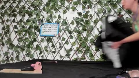 Mia online show from March 7, 12:05 pm