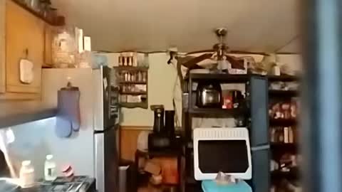 Sady Jayne online show from November 15, 12:56 am