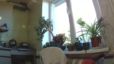 Snapshot of littlehappines chatting on September 11, 1:23 pm littlehappines online show from September 11, 1:23 pm