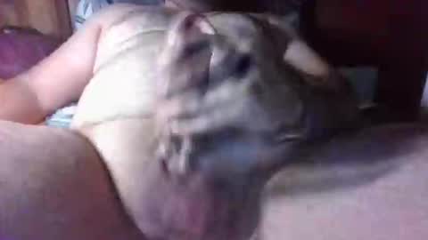 litwinpaweel online show from November 25, 8:18 pm