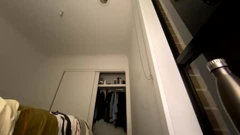 litzsa online show from January 14, 10:45 am