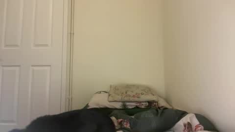 lizzybunny online show from December 3, 8:31 pm