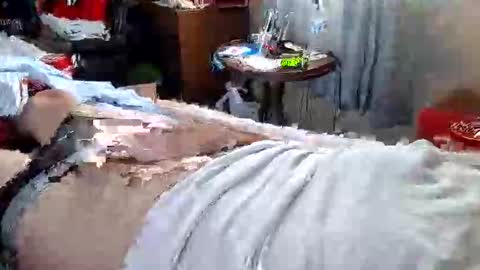 lld4567 online show from March 9, 2:32 pm