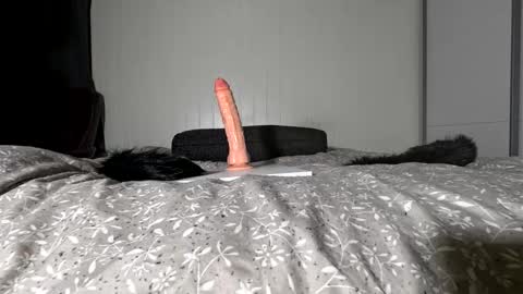 Elis online show from February 6, 2:04 am