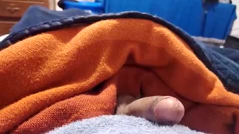 loganncky online show from February 22, 9:50 pm