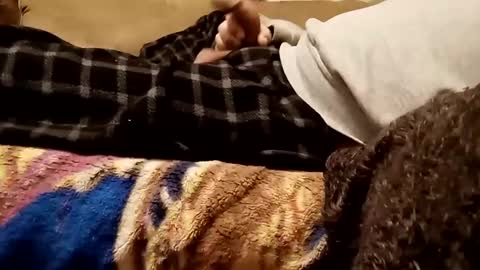 looking4bush online show from December 3, 7:16 am