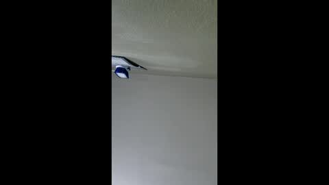 2791 3D online show from January 8, 5:02 am