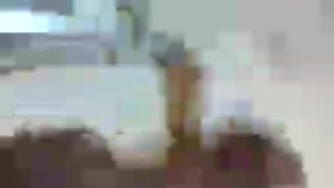 LoveCarrot online show from July 12, 8:23 pm
