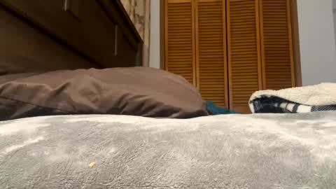 Amber online show from February 12, 1:27 pm