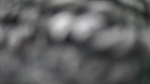 lovelength99 online show from June 13, 9:42 am