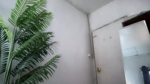 lovely_cittie18 online show from April 29, 3:00 am