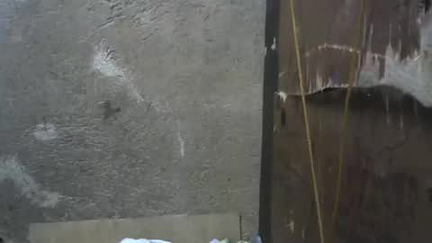 lovemedoll online show from December 14, 2:11 am