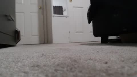 LUGO online show from March 14, 8:18 am