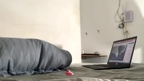   Luisa Fernanda  online show from June 23, 10:22 am