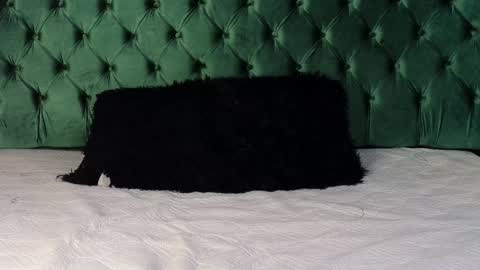 Lumars online show from January 29, 1:37 am