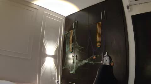 luna and banji online show from October 27, 11:49 pm