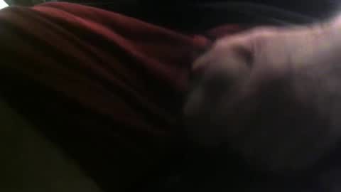 Snapshot of lunatica12 chatting on February 23, 6:17 am lunatica12 online show from February 23, 6:17 am