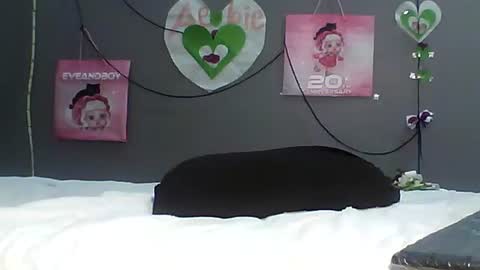 Bee Bee online show from February 20, 3:28 am