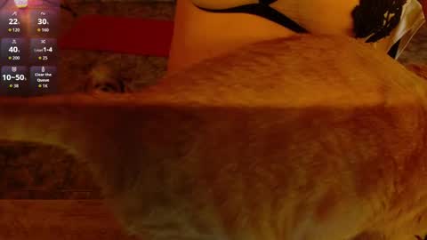 Liss online show from February 23, 5:59 pm