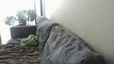 luzardol online show from February 8, 6:11 pm