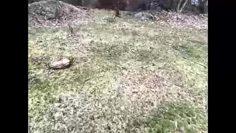 ma747047 online show from April 6, 11:22 am