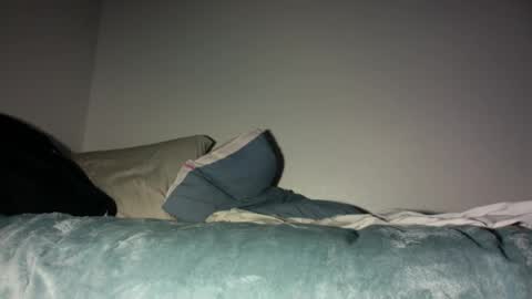 makeunumb88 online show from October 1, 6:01 am