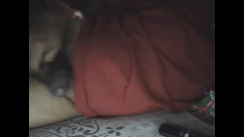 Snapshot of mallik63040 chatting on February 24, 6:04 pm Sree0703 online show from February 24, 6:04 pm