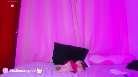 Manguito online show from December 20, 5:58 am